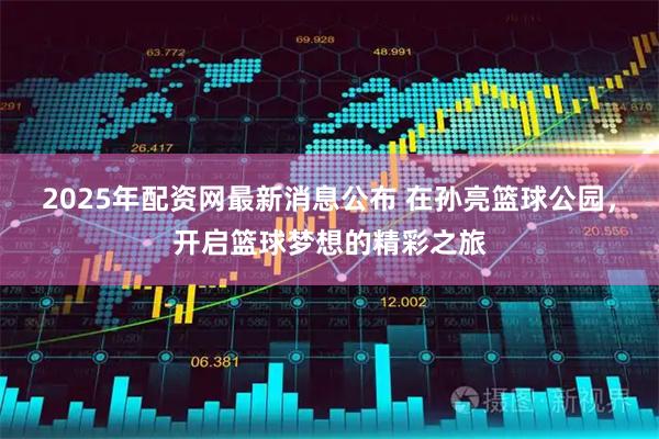 2025年配资网最新消息公布 在孙亮篮球公园，开启篮球梦想的精彩之旅