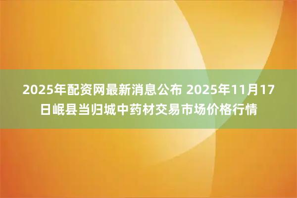 2025年配资网最新消息公布 2025年11月17日岷县当归城中药材交易市场价格行情